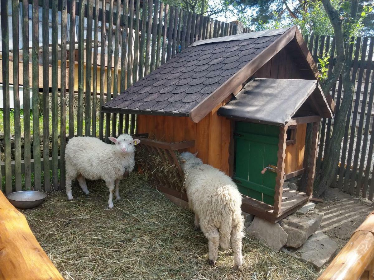 Hotel Pezion Limbovy Dvor Wierzbów Zewnętrze zdjęcie