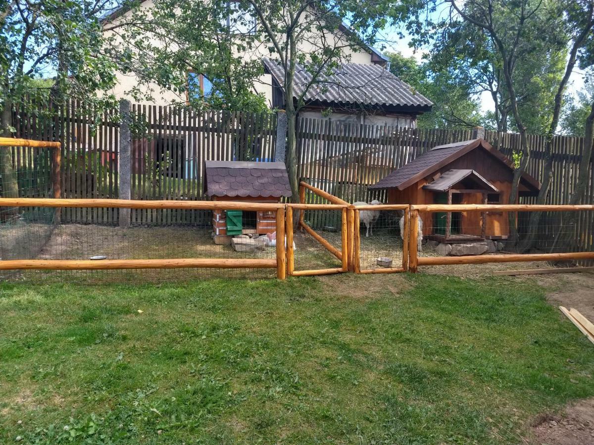Hotel Pezion Limbovy Dvor Wierzbów Zewnętrze zdjęcie