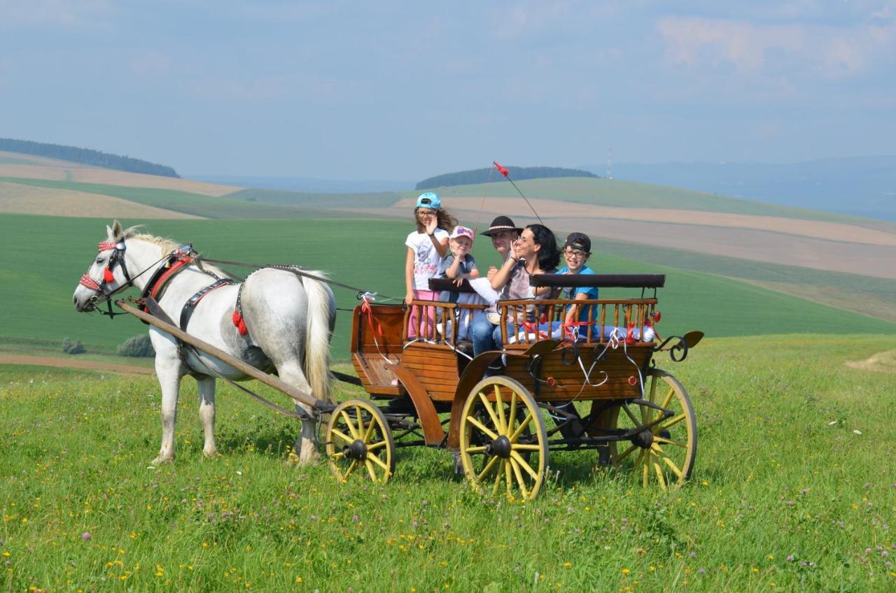 Hotel Pezion Limbovy Dvor Wierzbów Zewnętrze zdjęcie